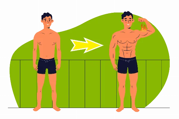 Gaining muscle: How fast and how much?