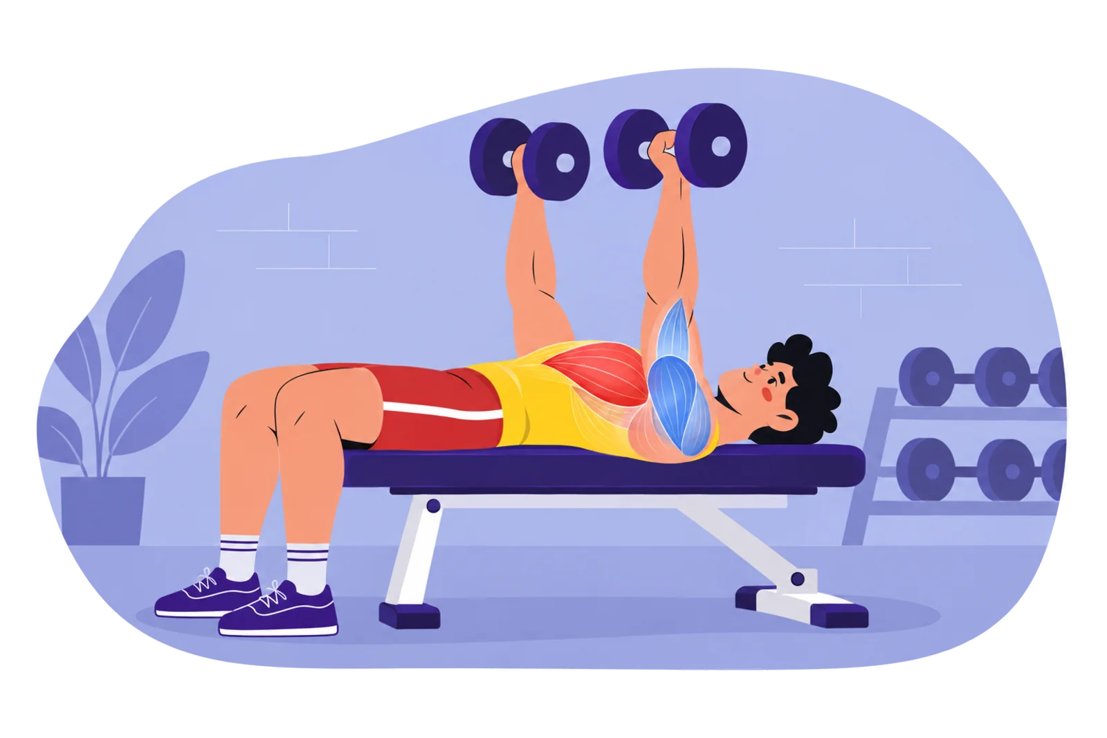 Auxiliary muscle