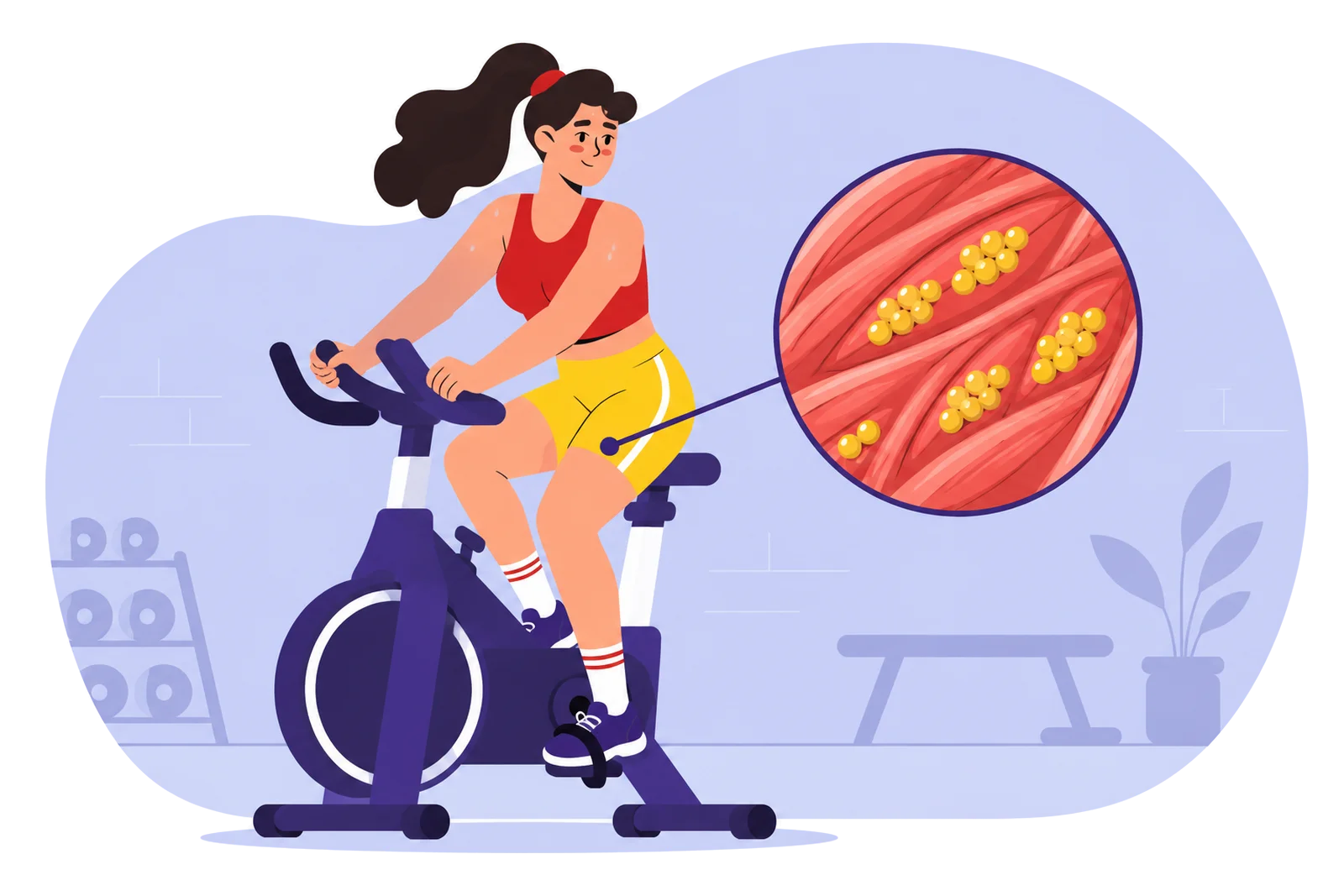 Glycogen