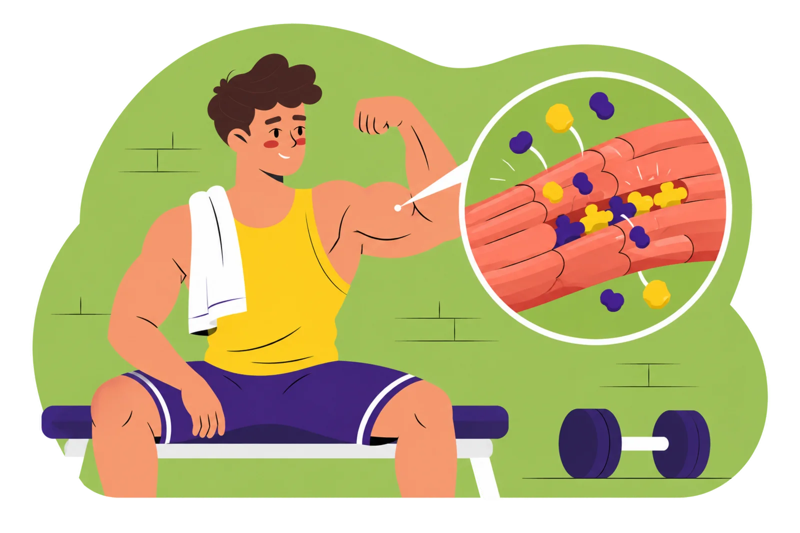 Muscle protein synthesis