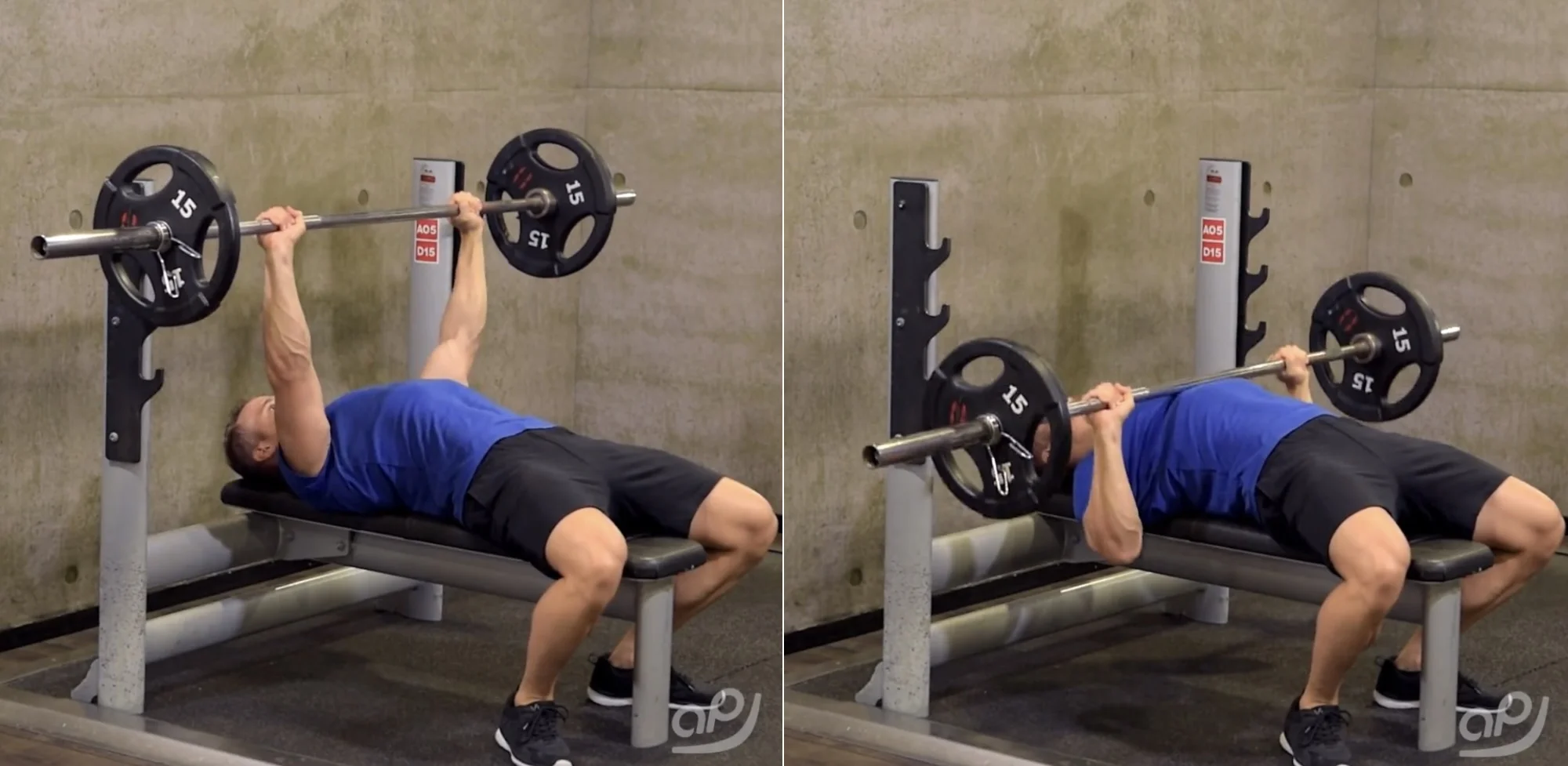 Example Bench Press