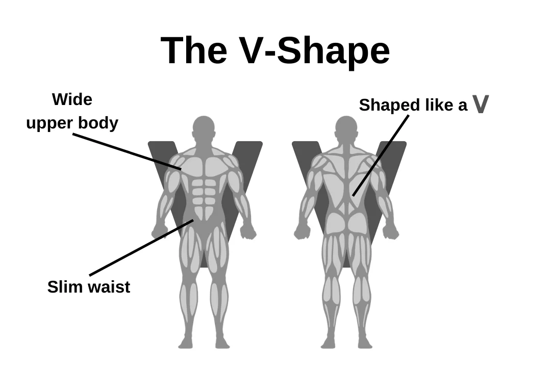 The-V-Shape