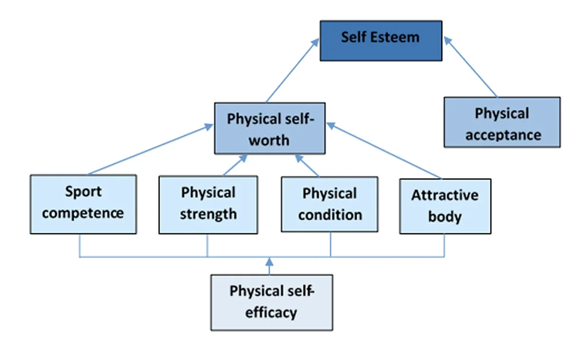 Adaptation of the Exercise and Self-esteem (EXSEM) model